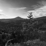 _K204881-web-02