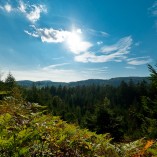 _K205347-web-01