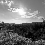 _K205347-web-02