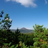 _K205449-web-01
