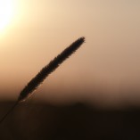 _K201948-bei-Linthe