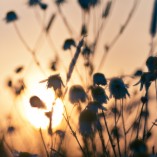 _K201965-bei-Linthe