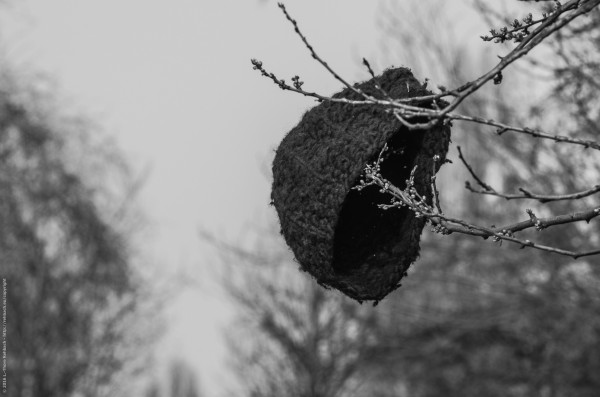 _K506769-Mauerpark-und-umzu