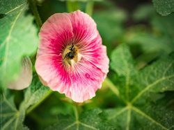  Exif DMC-GX80 f/1.7 1/640sec ISO-100 25mm