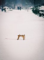 Schlitten ganz alleine im Schnee...