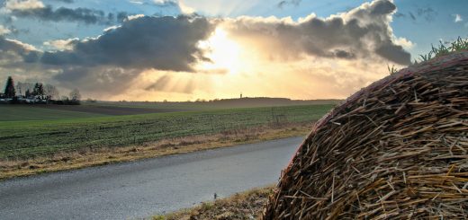 _K207536-2-tm-Heiligabend-2011