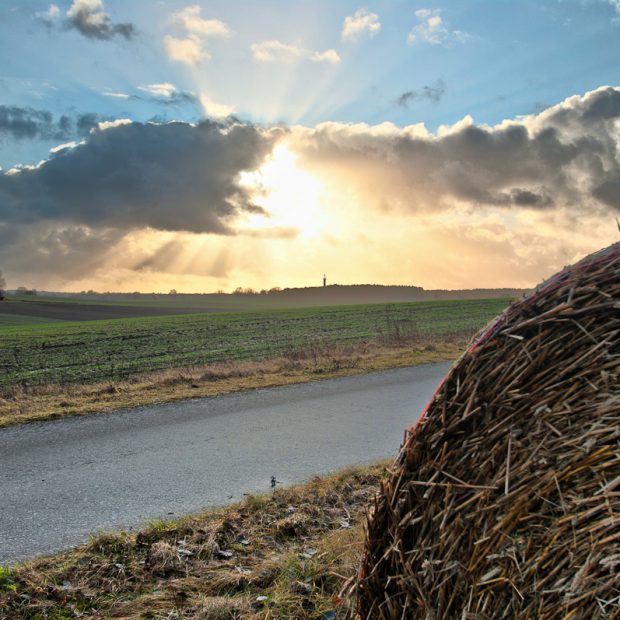 _K207546-2-tm-Heiligabend-2011