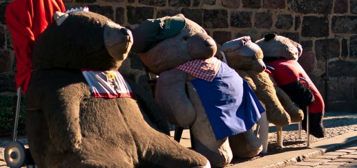 _K200881-einfach-baerig