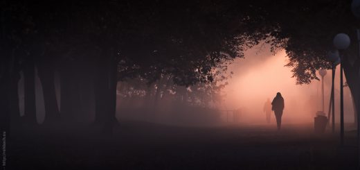 Menschen gehen durch eine Allee mit dichtem Nebel