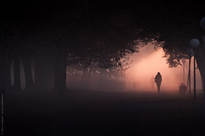 Menschen gehen durch eine Allee mit dichtem Nebel