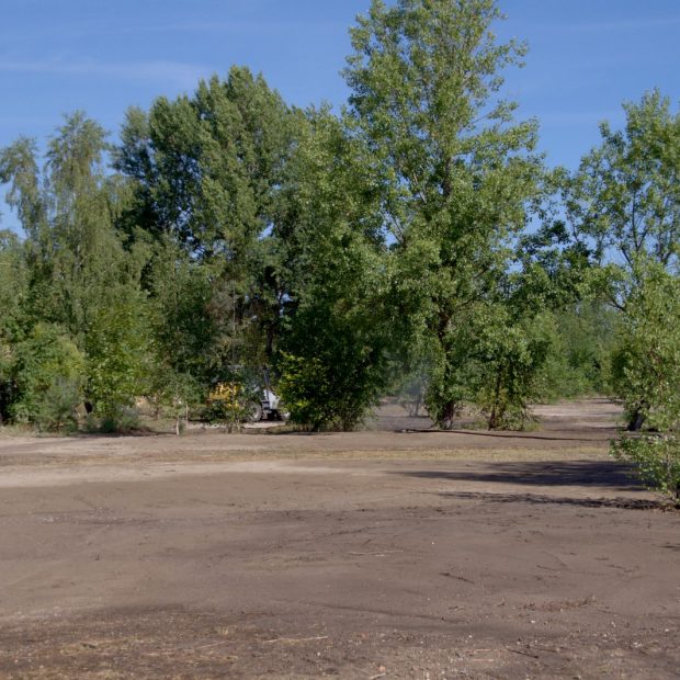 IMGP9762_Mauerpark-Erweiterung