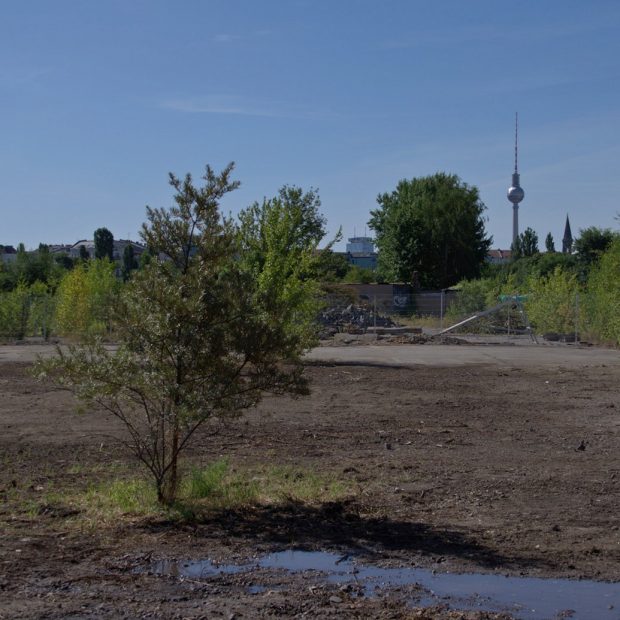 IMGP9774_Mauerpark-Erweiterung