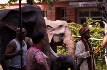 Karneval der Kulturen 2014