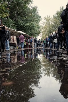 K5008891--Lake Mauerpark