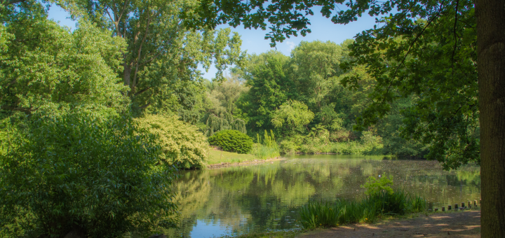 Grüner Park