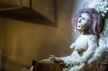 Schaufenster in Berlin bei Nacht