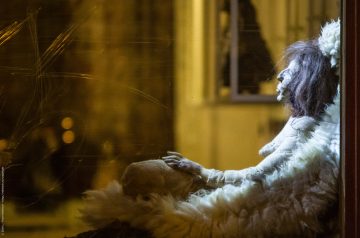 Schaufenster in Berlin bei Nacht