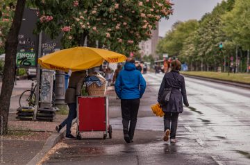 Karneval der Kulturen 2016