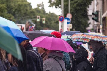 Karneval der Kulturen 2016