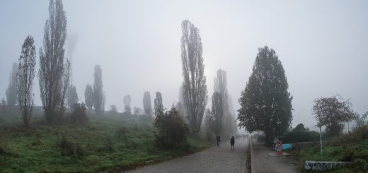 Nebel im Mauerpark