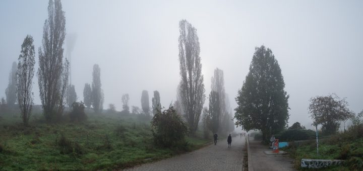 Nebel im Mauerpark